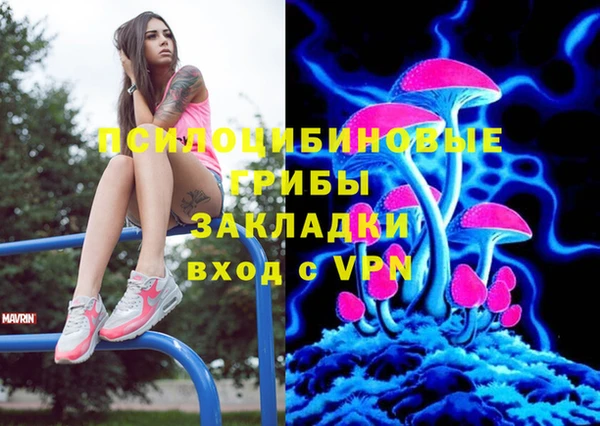 2c-b Струнино