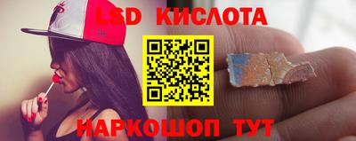 крисы Гагарин